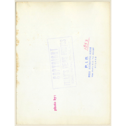 Great Take: Ingrid Bergman On Meadow (Vintage Press Photo 1953)