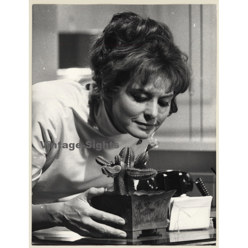 Hollywood: Ingrid Bergman In 'Cactus Flower' (Vintage Press Photo 1969)