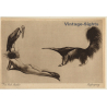 Richard Müller: Befragung / Erotic Nude Art (Vintage PC ~1910s/1920s)