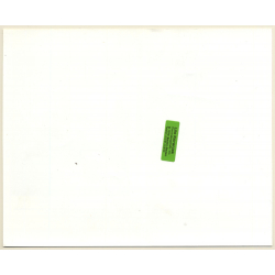 Walt Disney: Aristocats / Movie Still (Vintage Photo 1970)