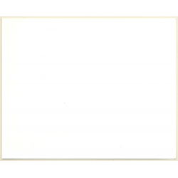 Kevin Costner: Dances With The Wolves / Movie Still (Vintage Photo 1990)