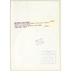 The Eternal Ingrid Bergman In 'Cactus Flower' (Vintage Movie Still Photo 1969)