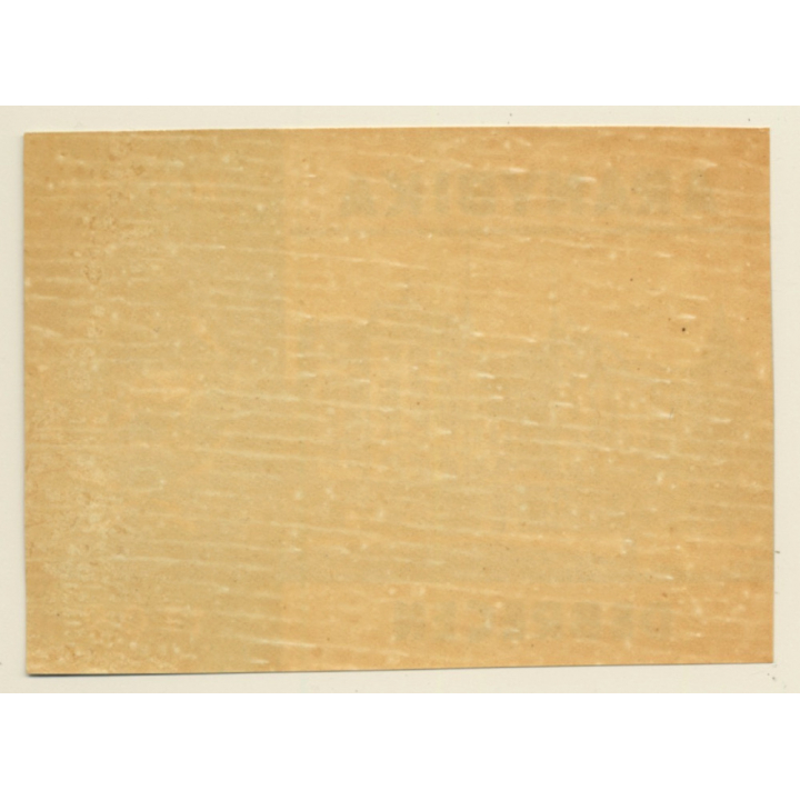 Debrecen / Hungary: Aranybika Hotel *2 (Vintage Luggage Label)