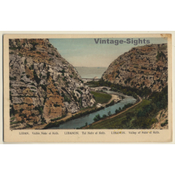 Lebanon: Valley Of Nahr Al-Kalb (Vintage PC ~1910s/1920s)