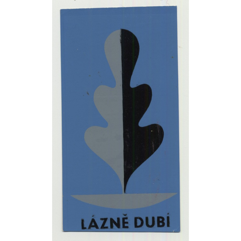 Lazne Dubi (Spa Dubi) - Dubi / Czech Republic (Vintage Luggage Label)