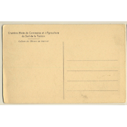 Tunisia: Cultivation Of Olive Trees With Tractor (Vintage PC)