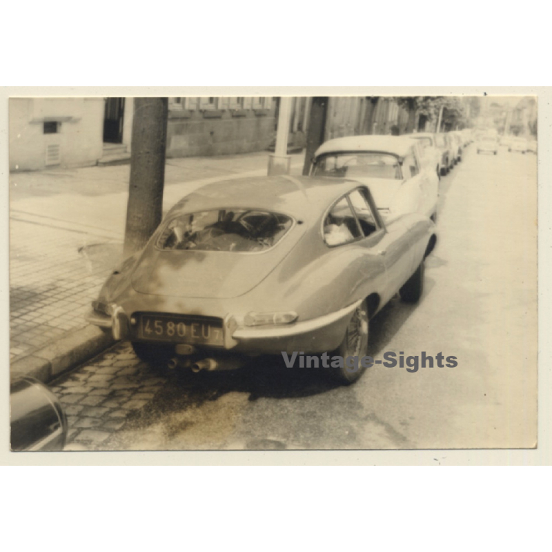 Tour De France 1964: Jaguar E Type - Rear View (Vintage Photo)