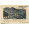 Schramberg / Black Forest: Total View (Vintage PC 1903)