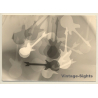 Experimental Photo*2: Electric Guitars / Multiple Exposure (Vintage Photo ~1950s/1960s)