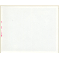 Harrison Ford: Indiana Jones Raiders Of The Lost Ark (Vintage Movie Still Photo 1981)