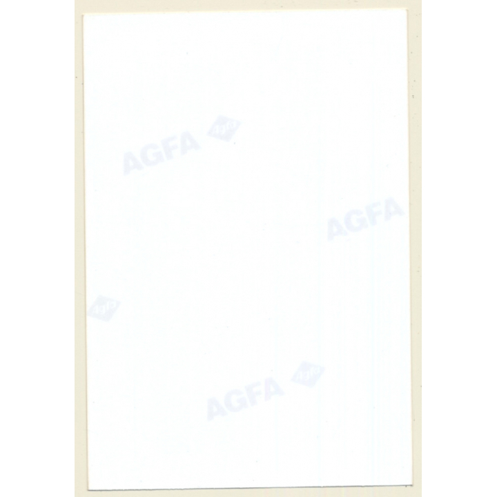 Topless Brunette Woman In Lounge Chair / Fishnets (Vintage Photo ~1990s)