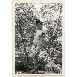 Slim Natural Nude In Garden *1 / Boobs (Vintage Photo France ~1940s/1950s)