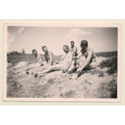 Bunch Of Nude German Soldiers Sitting On Beach Dune / Gay INT (Vintage Photo 1942)