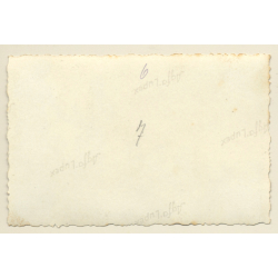 Bunch Of Semi Nude Soldiers In Trunks / Gay INT (Vintage Photo ~1940s)