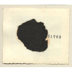 Topless German Soldiers In Forest / Gay INT (Vintage Photo 1930s/1940s)