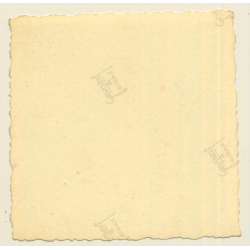 German Soldier Playing Accordion - Deutsche Reichsbahn / Gay INT (Vintage Photo 1930s/1940s)