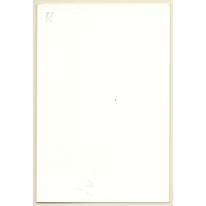 Happy Suntanned Topless Brunette / Panties - Nylons (Vintage Photo ~1990s)