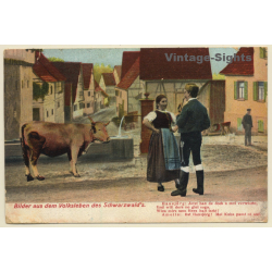 Bilder Aus Dem Volksleben Des Schwarzwald's / Tracht - Kuh (Vintage PC 1908)