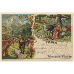 Gruss Von Den Alpen / Cow Licking Woman - Mountains (Vintage PC Litho 1901)