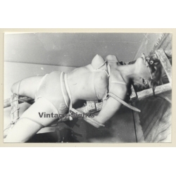 Semi Nude Maid Tied To Ladder / Belt Bondage - BDSM (2nd Gen. Photo B/W ~1960s)