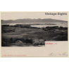 Lindau Im Bodensee / Germany: Total View (Vintage PC 1905)