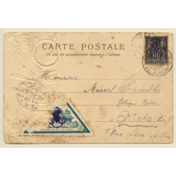 Paris: Expostion Universelle - Palais Du Trocadero (Vintage PC Litho 1900)