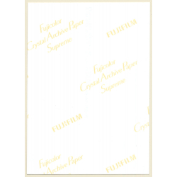 Erotic Study: Close-up Of Nude Female In Fishnets*1 (Digital Photo Print 2000s)