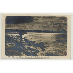 Mar del Plata / Argentina: Esperando La Ballena Con Anzuelo (Vintage Postcard: 1926)
