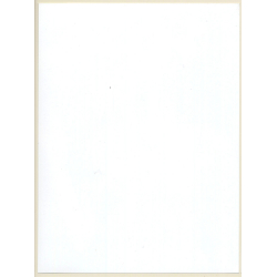 Erotic Study: Brunette Semi Nude With Flower / Transparent Top (Digital Photo Print 2000s)