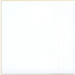 Erotic Study: Rear View Of Slim Nude Through Rifle Scope (Digital Photo Print 2000s)