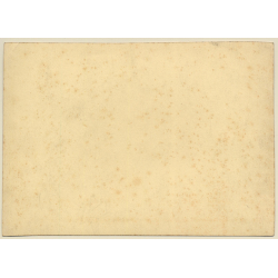 Nice Portrait Of Sweet Little Dog & His Owner (Vintage Photo Sepia ~1920s)