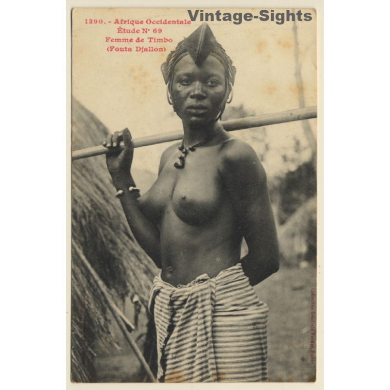 Afrique Occidentale: Femme De Timbo / Risqué - Ethnic Nude (Vintage PC ~1910s) Afrique Occidentale: Femme De Timbo / Risqué - Ethnic Nude (Vintage PC ~1910s)