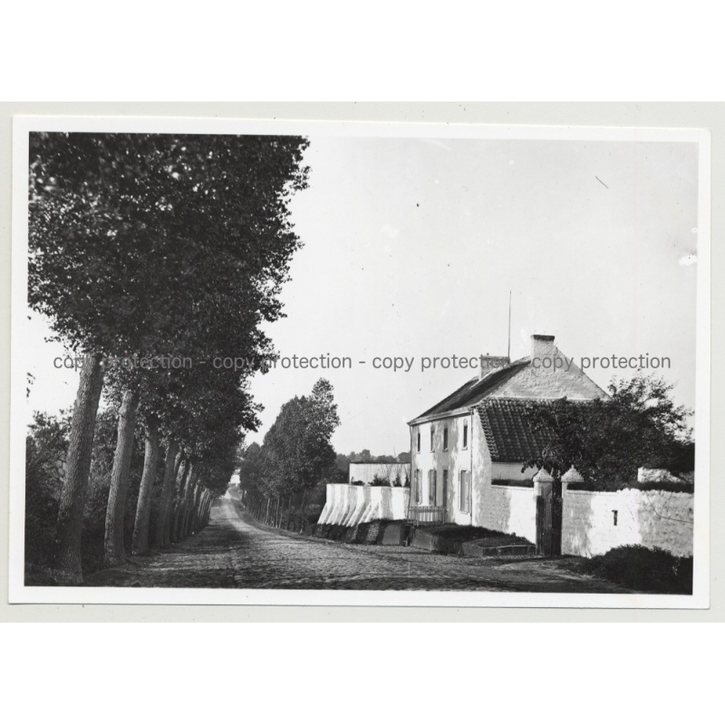 Hotel Du Musée 5: Outbuilding - Waterloo / Belgium (Vintage A.C.L. Archive Photo B/W ~1950s) Hotel Du Musée 5: Outbuilding - Waterloo / Belgium (Vintage A.C.L. Archive Photo B/W ~1950s)