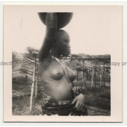 Topless African Female W. Water Jug On Head 2 (Vintage Photo 1940s/1950s)