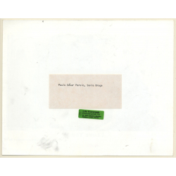 Paulo César Pereio & Sonia Braga: I Love You / Risqué (Vintage Movie Still Photo 1982)