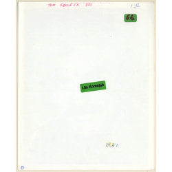 Portrait Of Tom Selleck / Magnum (Vintage Movie Still Photo 1980s)