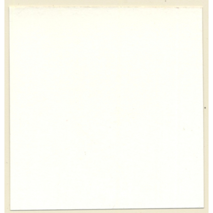 Latex Mistress & Topless Maid *2 / Face Mask - BDSM Restraint (Vintage Contact Sheet Photo 1970s)