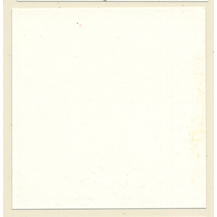 Latex Mistress & Topless Maid *11 / Face Mask - BDSM Restraint (Vintage Contact Sheet Photo 1970s)