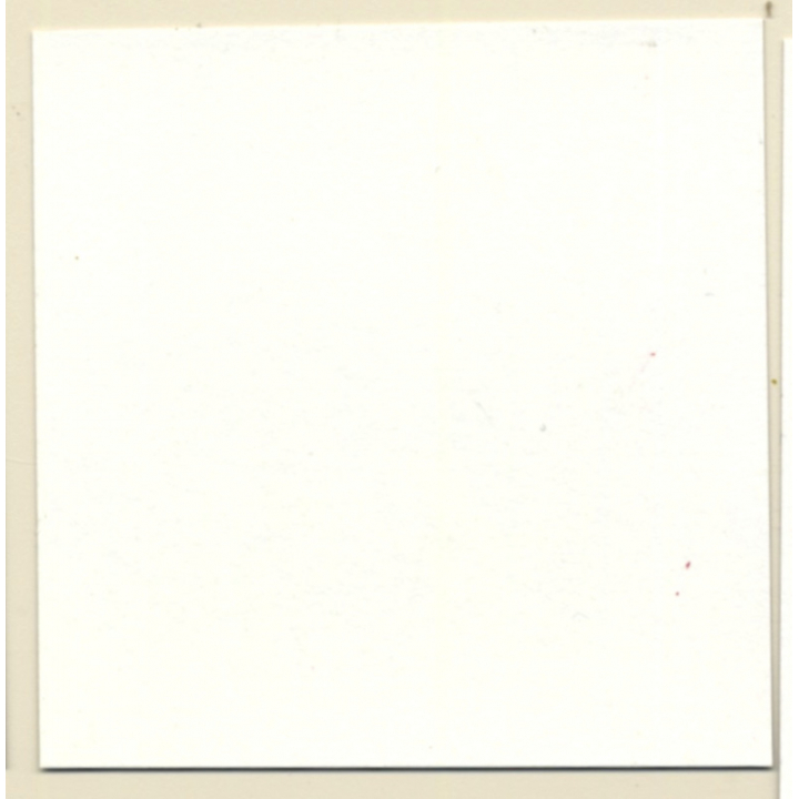 Latex Mistress & Topless Maid *13 / Face Mask - BDSM Restraint (Vintage Contact Sheet Photo 1970s)