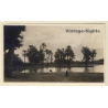 Egypt: Oasis - Palm Trees (Vintage RPPC Leichter & Son ~1930s)