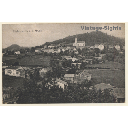 Hohenwarth i.b. Wald / Germany: Partial View (Vintage PC 1925)