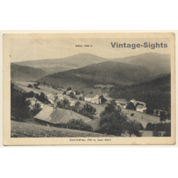 Sommerau i.b. Wald / Germany: Partial View & Arber (Vintage PC 1925)
