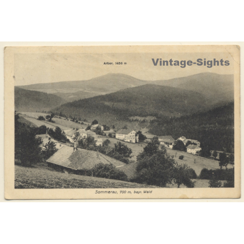 Sommerau i.b. Wald / Germany: Partial View & Arber (Vintage PC 1925)