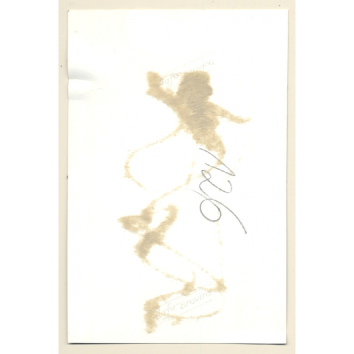 Darkhaird Semi Nude Maid In Bondage / Suspenders - Tan Lines - BDSM (2nd Gen. Photo 1960s)