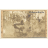Little Baby & Teddy Bear In Garden / Highchair (Vintage RPPC 1907)