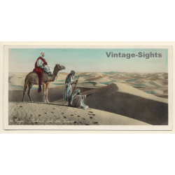 Lehnert & Landrock N°88: Egypt - Lookout Into The Desert (Vintage PC ~1910s/1920s)