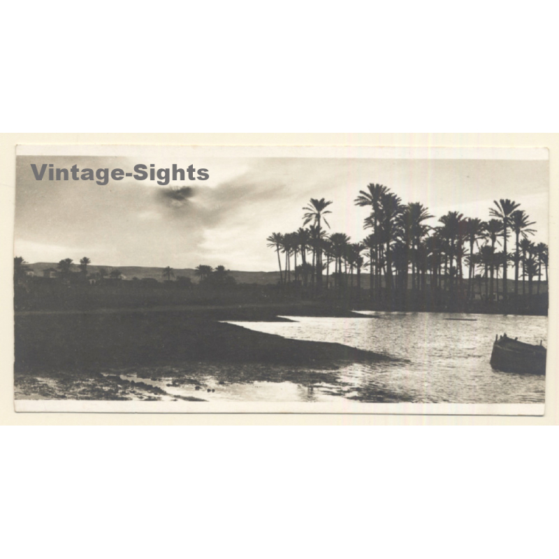 Egypt: Landscape On The Banks Of The Niles (Vintage RPPC ~1910s/1920s)
