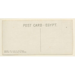Egypt: En Route For The Fields / Camel Caravan (Vintage RPPC ~1910s/1920s)