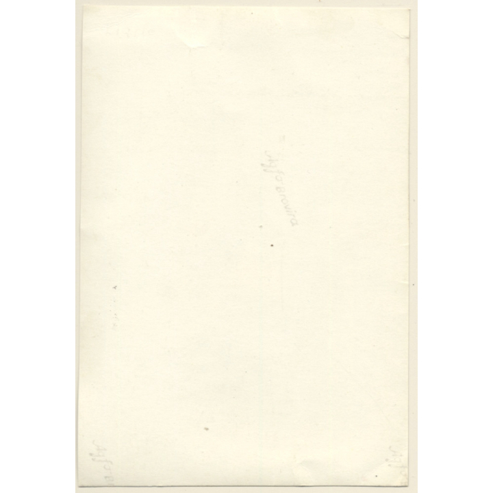 Erotic Study: Natural Topless Female On Meadow (Vintage Photo ~1940s/1950s)