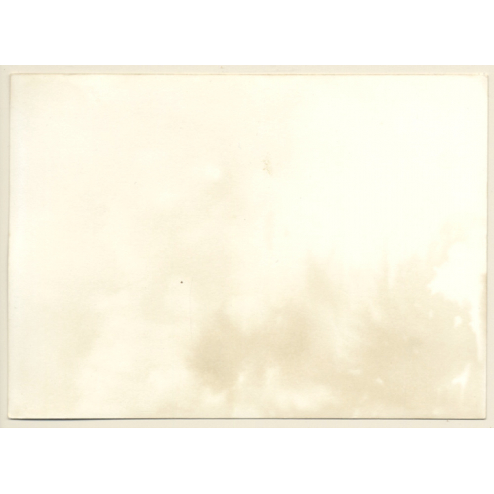 Erotic Study: Upper Body Of Nude Female On Meadow (Vintage Photo GDR ~1970s/1980s)